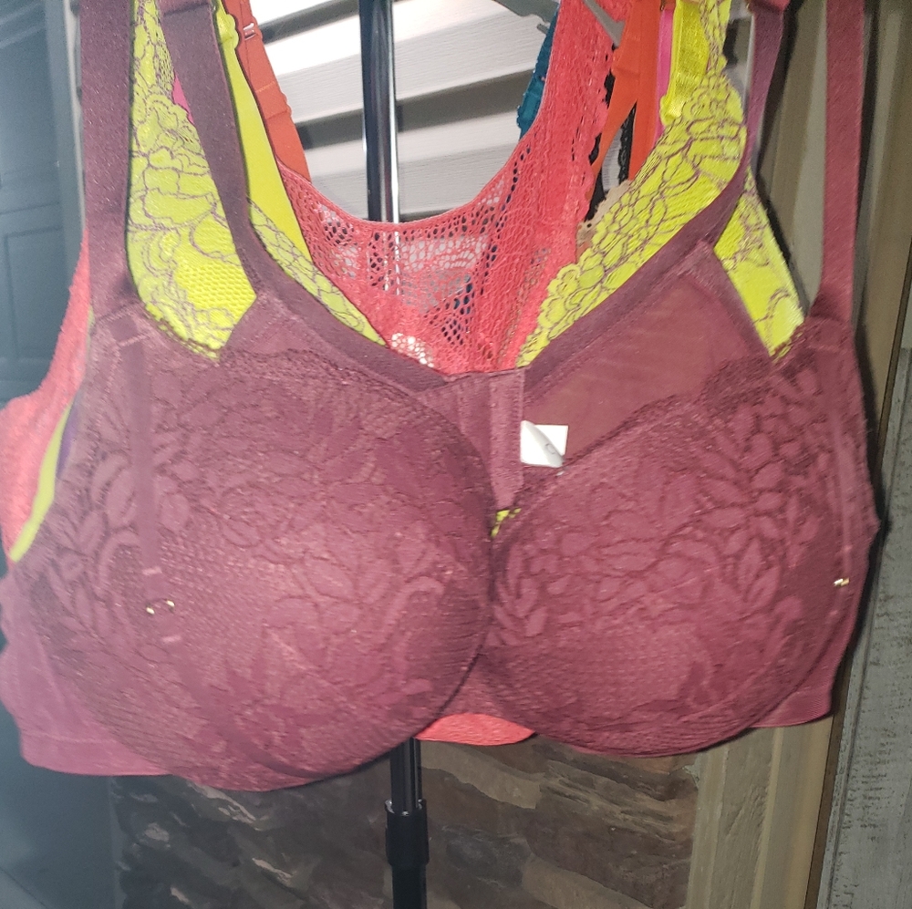 Cacique 44B Bra